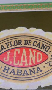 Flor de Cano fullsizeoutput_1a48