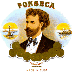 Fonseca Fonseca